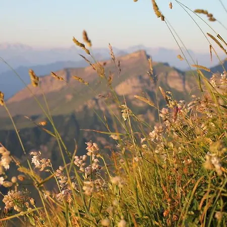 Appartement Am Dorfbach *